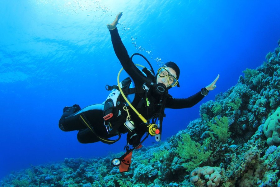 Top things to do in Kornati Islands National Park - Diving